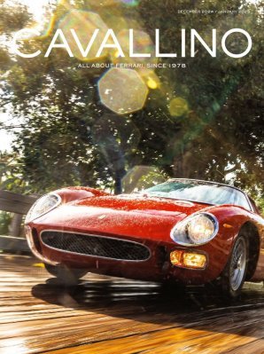 CAVALLINO N.264